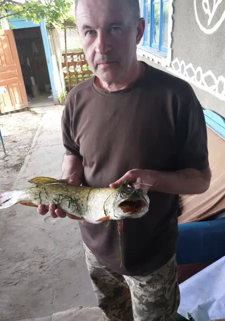 Я Олег, 53, из Коростеня, ищу знакомства на одну ночь