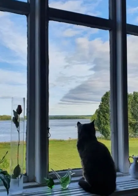 Я Marlne, 41, знакомлюсь в Стокгольме