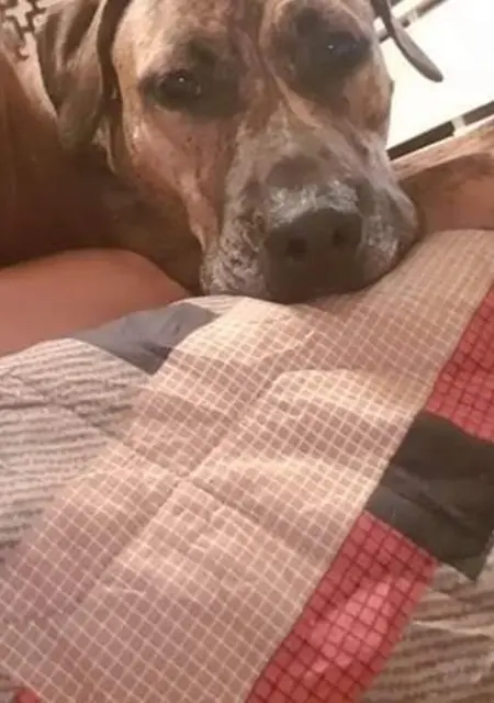 Я Elli, 32, знакомлюсь в Афинах