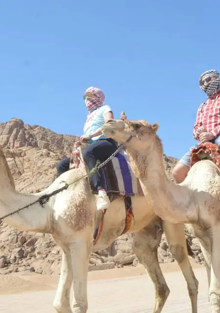 Михаил из Бреста, ищу на сайте знакомства на одну ночь