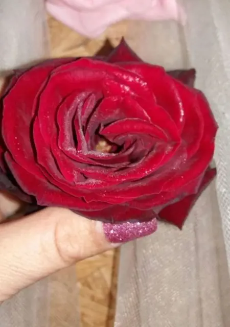 Я Liviu Mihaita, 43, знакомлюсь в Бухаресте