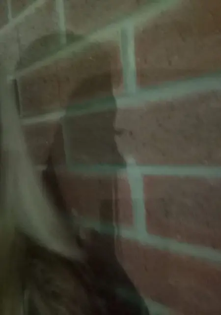 Я Annemarie, 44, из Лондона, ищу знакомство