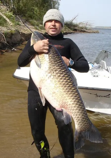 Я Сергей, 50, из Ошмянов, ищу знакомство для дружбы