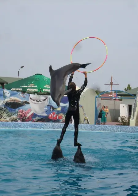 Я Витя, 47 років, знайомлюсь без зобов'язань у Полтаві