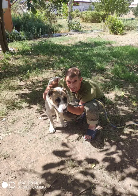 Я Виктор, 52, из Новопскова, ищу знакомства на одну ночь