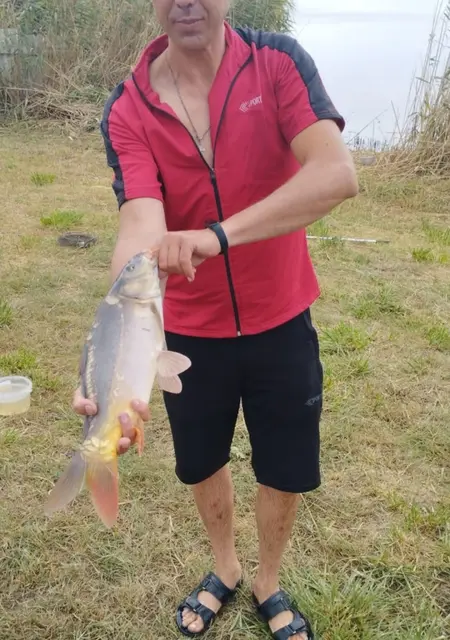 Я Саша, 42 років з Сніжне, шукаю знайомство для дружби