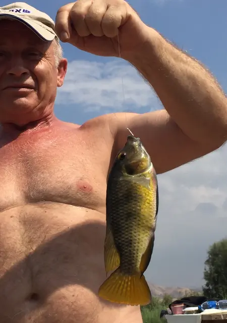 Иван из Хуста, ищу на сайте знакомства на одну ночь