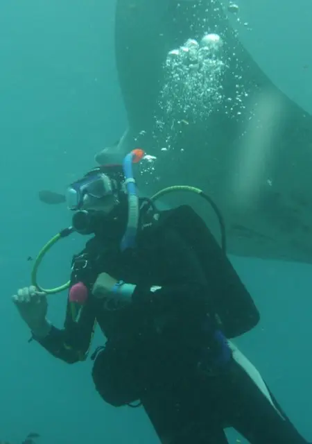 Я Чеширский Кот, 47, из Луганска, ищу знакомства на одну ночь