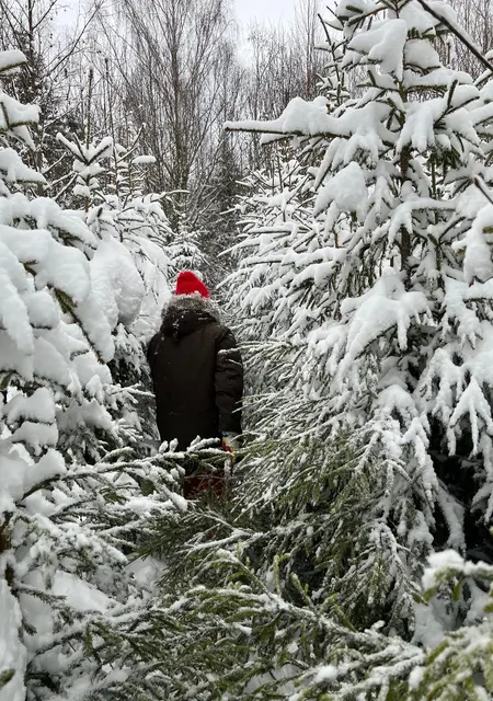 Stas из Дубая, ищу на сайте знакомства на одну ночь