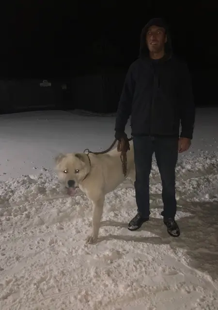 Я Геворг, 38, из Жмеринки, ищу знакомство для общения