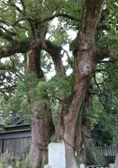 Я Bbaaddyy, 35, знакомлюсь в Праге