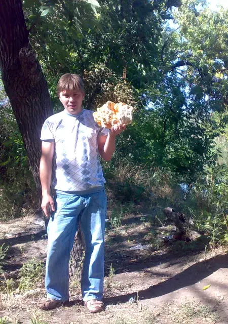 Я Серж, 49, из Дружковки, ищу знакомство для постоянных отношений