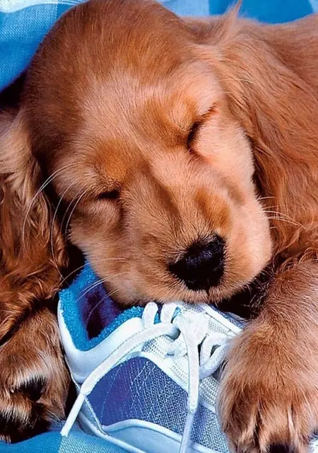 Андрей из Жлобина, ищу на сайте знакомства на одну ночь