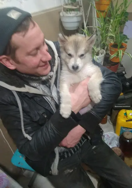 Я Дмитрий, 42, из Мариуполя, ищу знакомства без обязательств