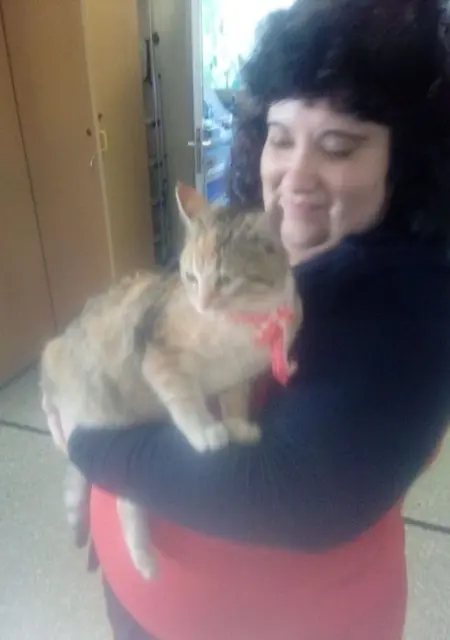 Savina из Афин, мне 30, познакомлюсь