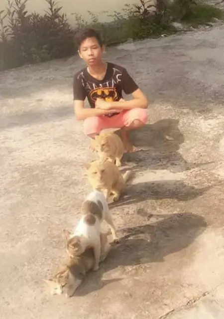 Sam из Ташкента, мне 46, познакомлюсь без обязательств