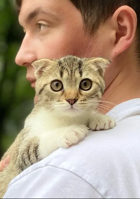 Я Тёма, 33 років, знайомлюсь на одну ніч у Вишгород