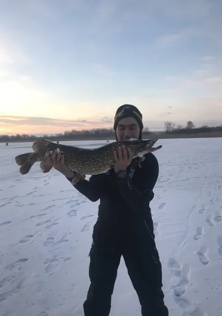 Я Ваня, 34 років, знайомлюсь без зобов'язань у Коломия