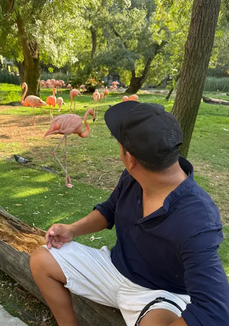 Soy Leo, 36 años de Madrid, busco conocer gente para lío de una noche