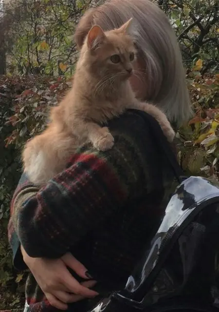 Кристина из Черновцов, ищу на сайте постоянные отношения