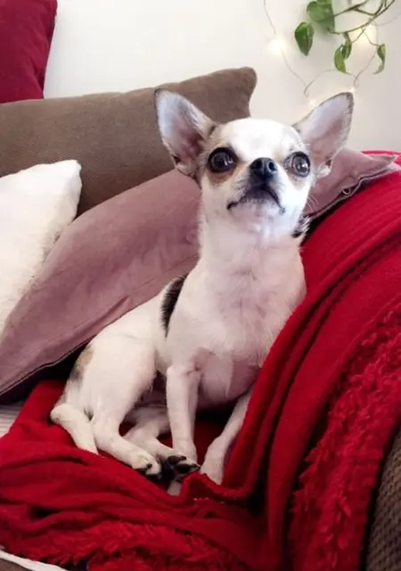 Я Hussein, 25, знакомлюсь в Стокгольме