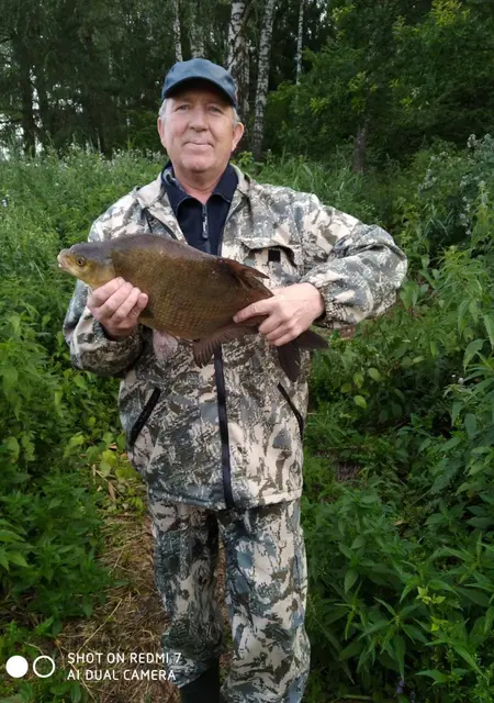 Я Алекс, 64, знакомлюсь для приятного времяпровождения в Минске