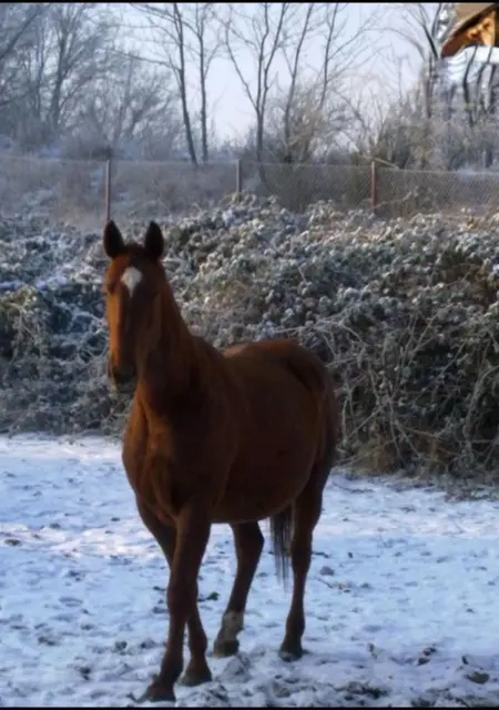 Я Jana, 45, из Праги, ищу знакомство