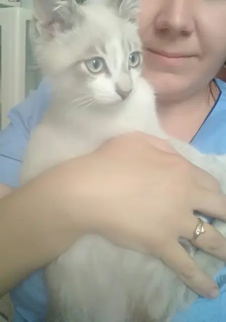 Ludmila из Балаклеи, ищу на сайте знакомства без обязательств